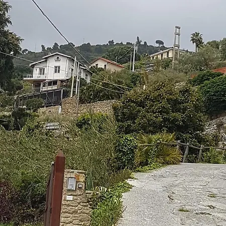 Bella Lunassa *